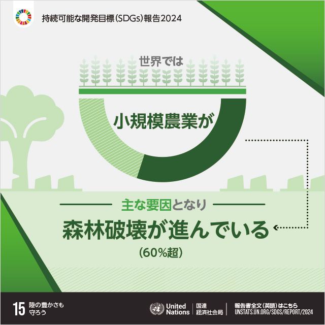 15.陸の豊かさも守ろう「世界では小規模農業が主な要因となり森林破壊が進んでいる（60%超）」